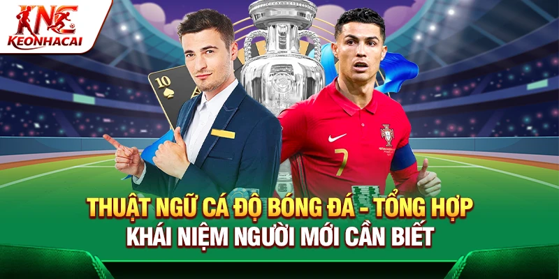 https://ideal-product.io/thuat-ngu-ca-do-bong-da/